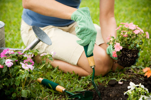 7 Budget-Friendly Upgrades for Your Garden