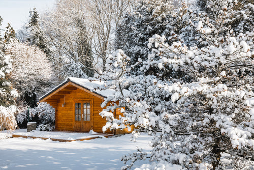 Creative Winter Uses for Your Garden Shed