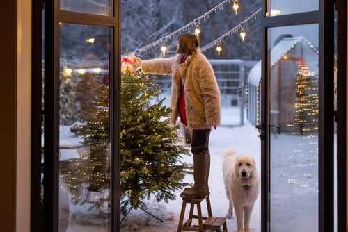 10 Ways to Decorate Your Garden This Christmas